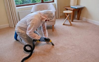 WhatsApp Image 2026-03-26 at 15.15.01